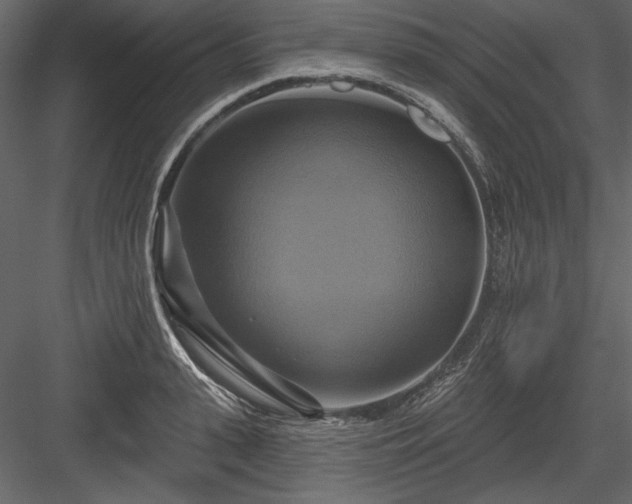 X0000084020943200702232228