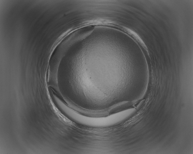X0000084020946200702232228
