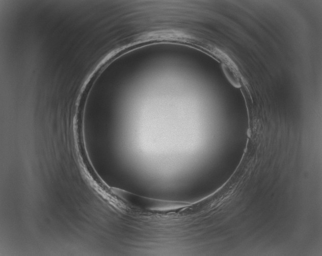 X0000084020947200702232228