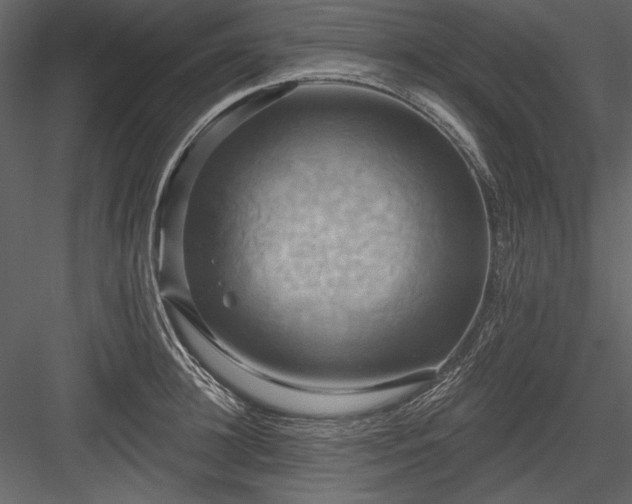 X0000084020948200702232228