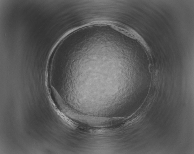 X0000084020955200702232228