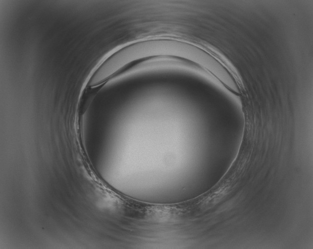 X0000084020956200702232228