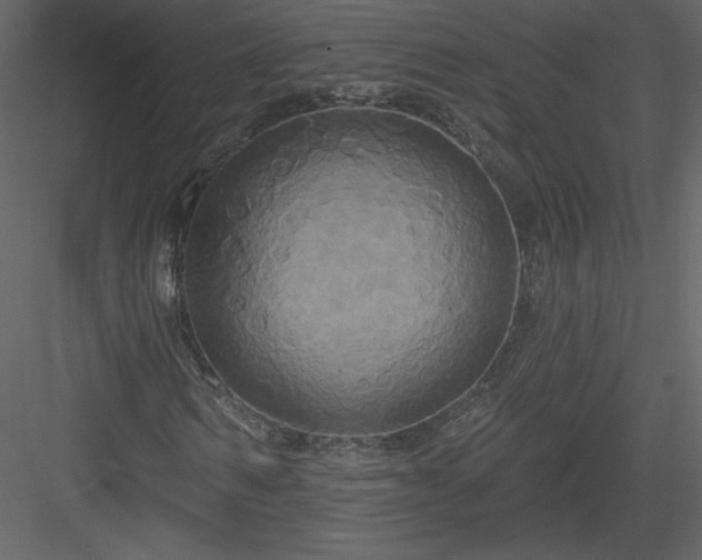 X0000084020962200702232227