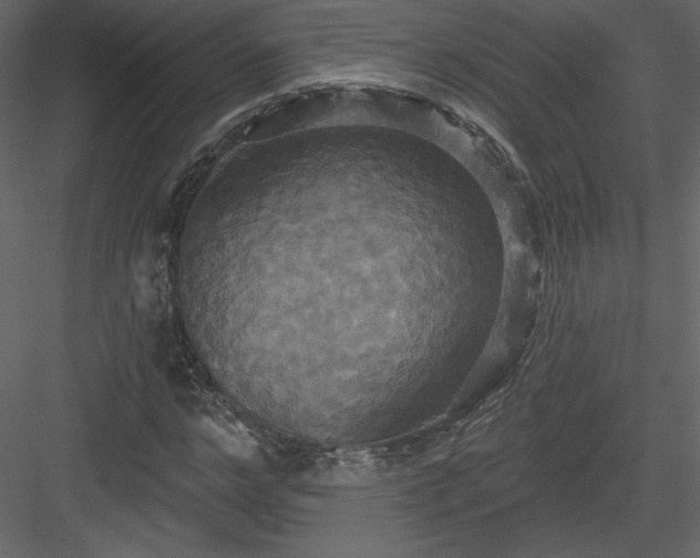 X0000084020968200702232227