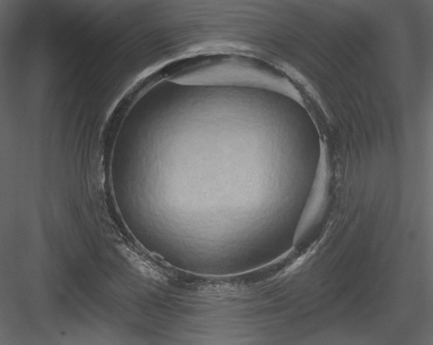 X0000084020973200702232227