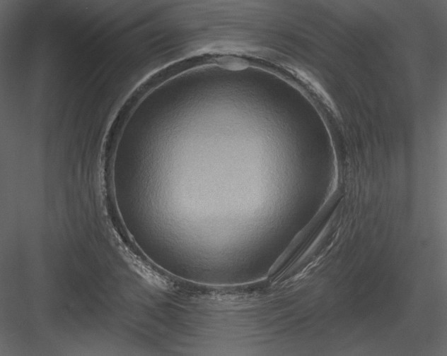 X0000084020976200702232227