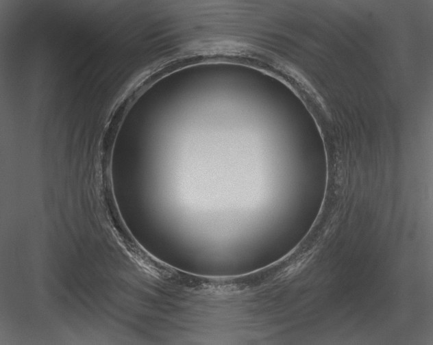 X0000084020978200702232227