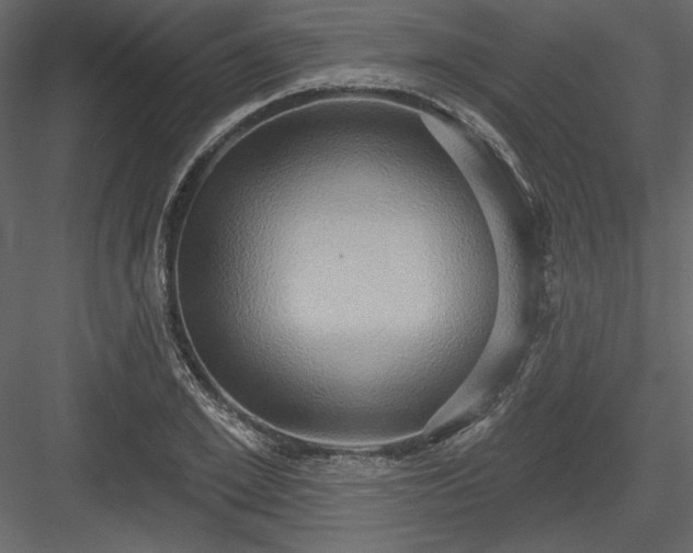 X0000084020981200702232227
