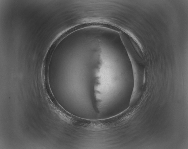 X0000084020983200702232227