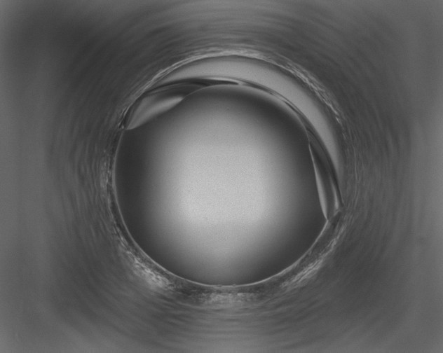 X0000084020985200702232227