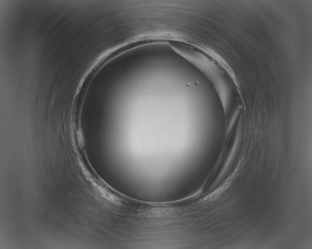 X0000084020989200702232227