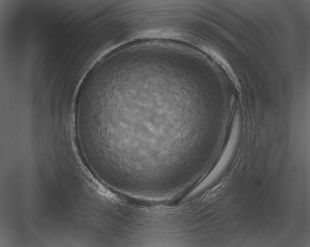 X0000084020992200702232227