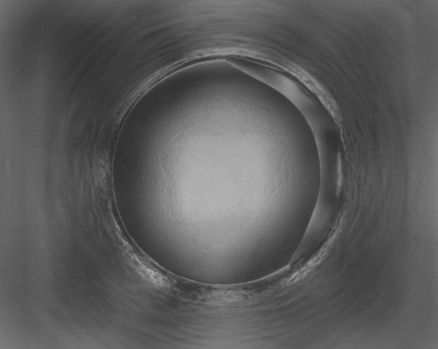 X0000084020993200702232227
