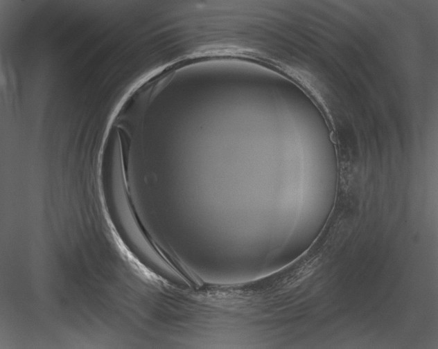 X0000084020995200702232227