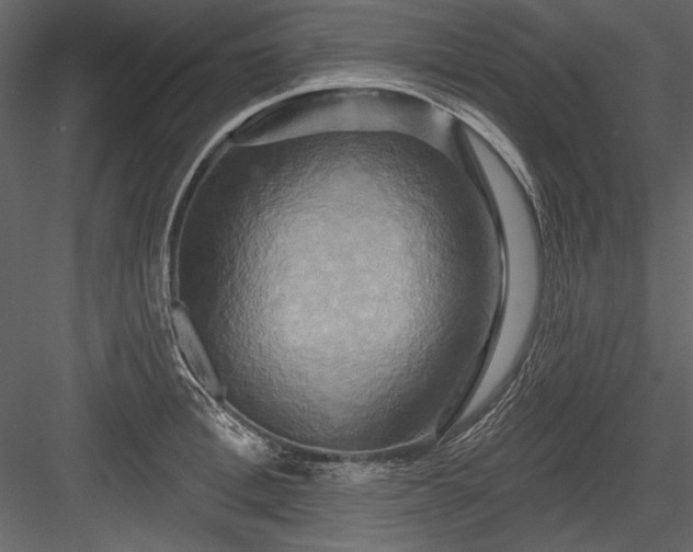 X0000084020996200702232227