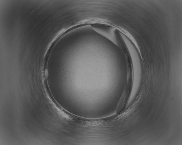 X0000084020997200702232227