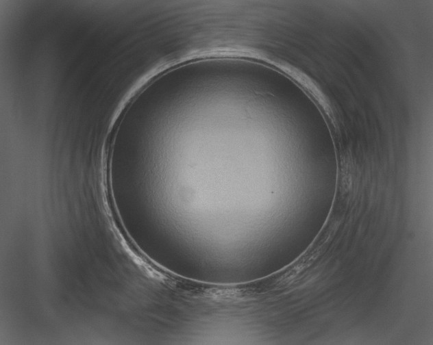 X0000084021006200702232227