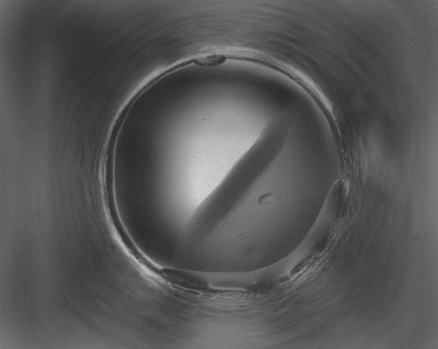 X0000084021007200702232227