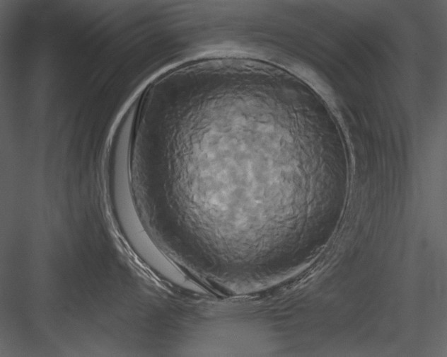 X0000084021008200702232227