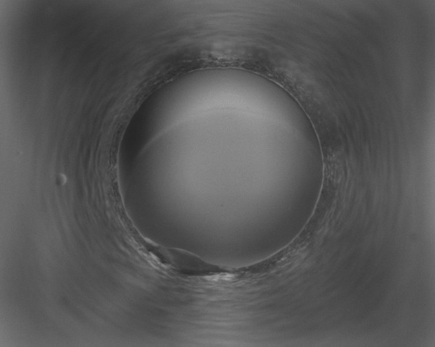 X0000084021009200702232226