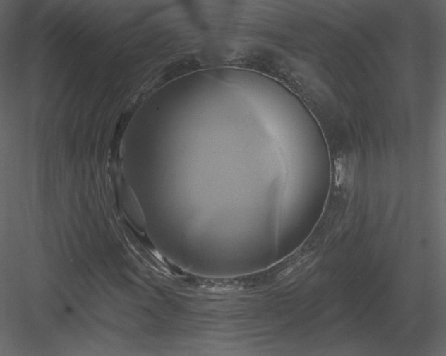 X0000084021011200702232226