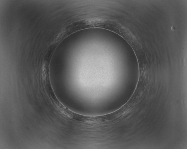X0000084021012200702232226