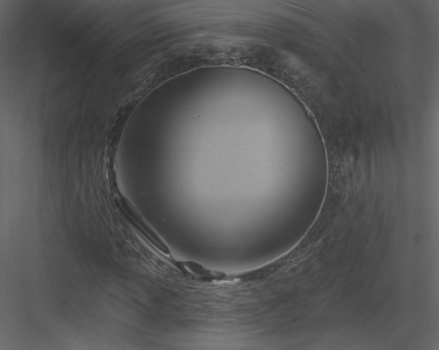 X0000084021013200702232226