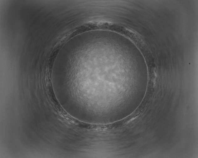 X0000084021014200702232226