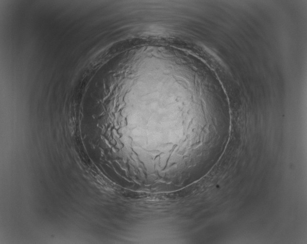 X0000084021015200702232226