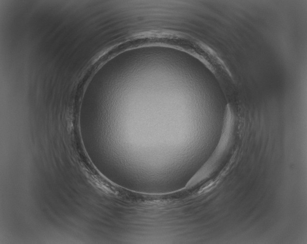 X0000084021017200702232226
