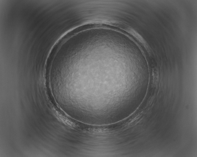 X0000084021020200702232226