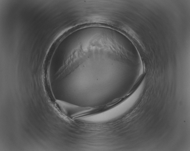 X0000084021024200702232226