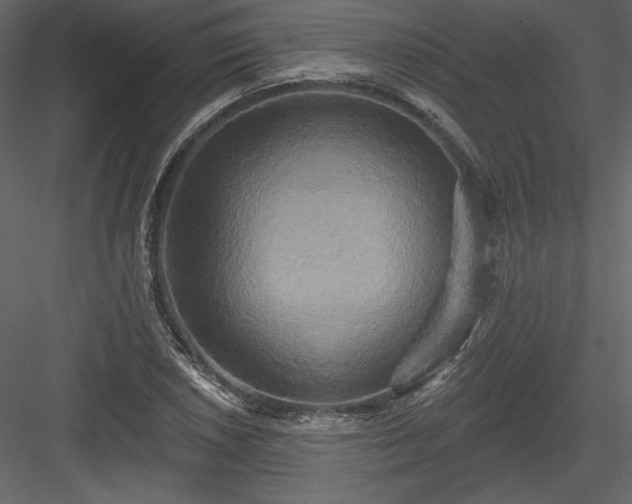 X0000084021026200702232226