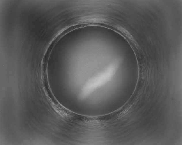 X0000084021031200702232226