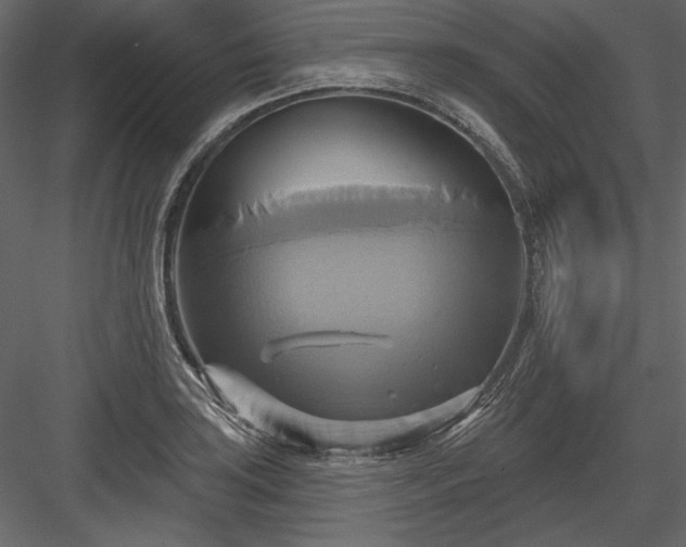 X0000084021035200702232226