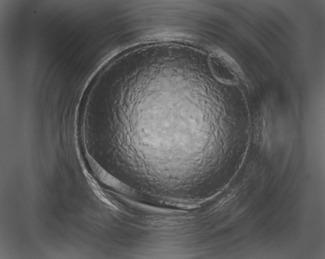 X0000084021039200702232226