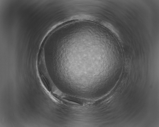 X0000084021040200702232226