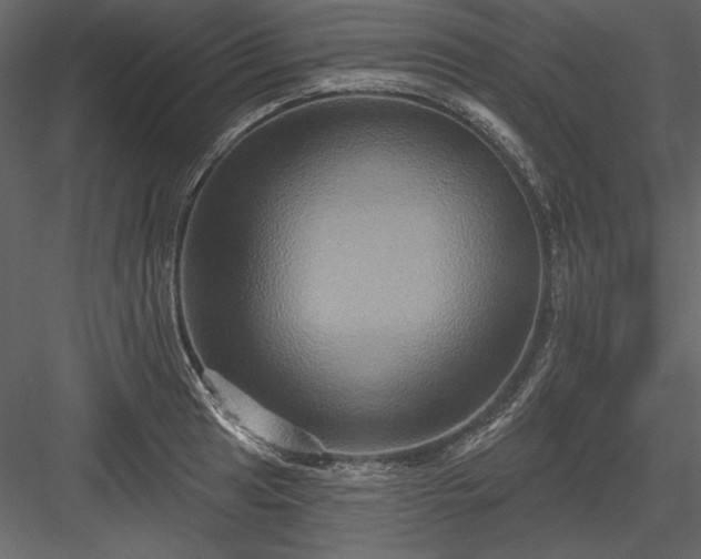 X0000084021041200702232226
