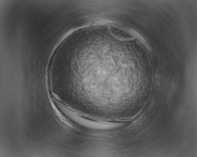 X0000084021047200702232226