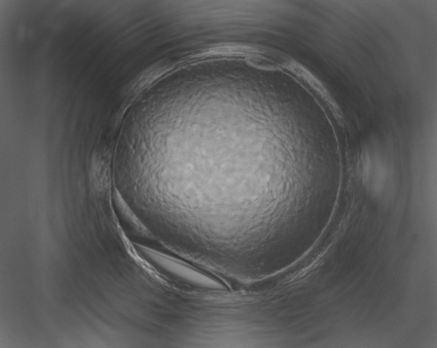X0000084021049200702232226