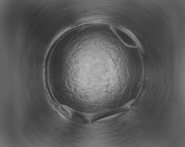 X0000084021051200702232226