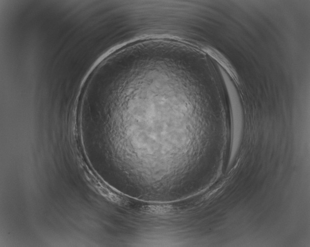 X0000084021052200702232226