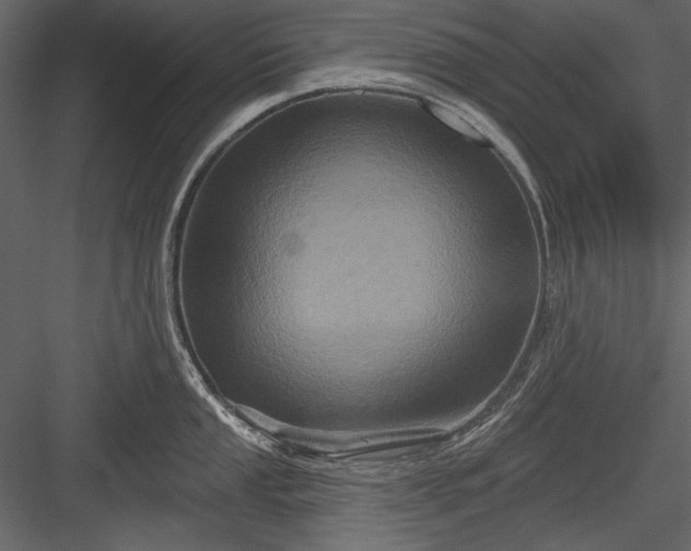 X0000084021053200702232226