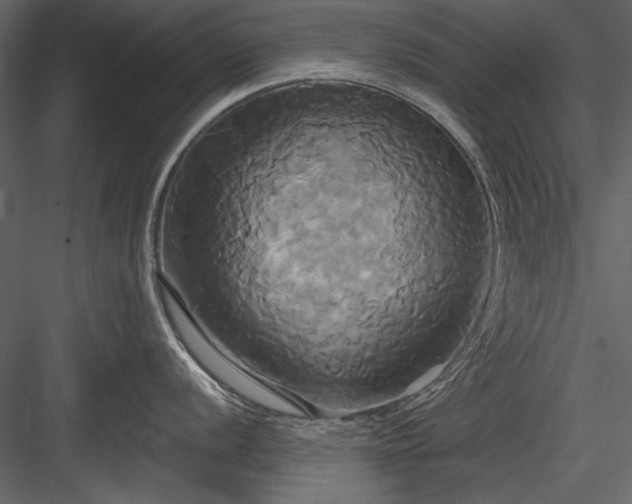 X0000084021056200702232227