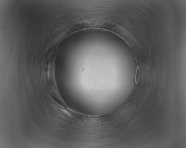 X0000084021058200702232226