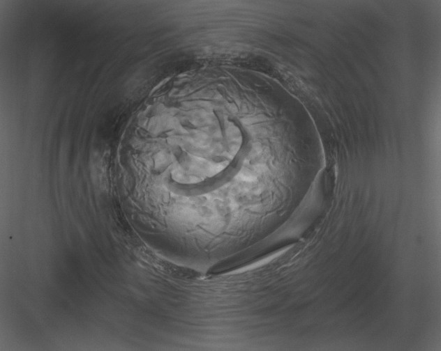 X0000084021059200702232226