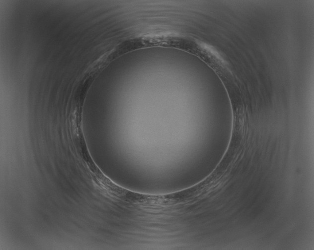 X0000084021060200702232226
