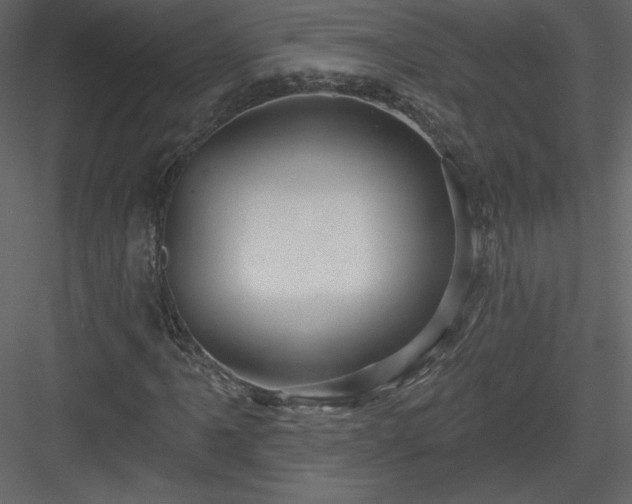 X0000084021061200702232226