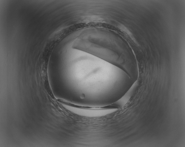 X0000084021063200702232226
