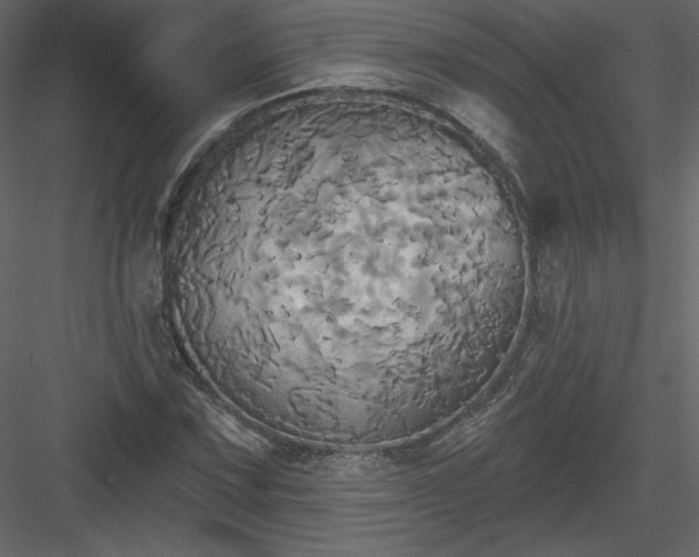 X0000084021067200702232226